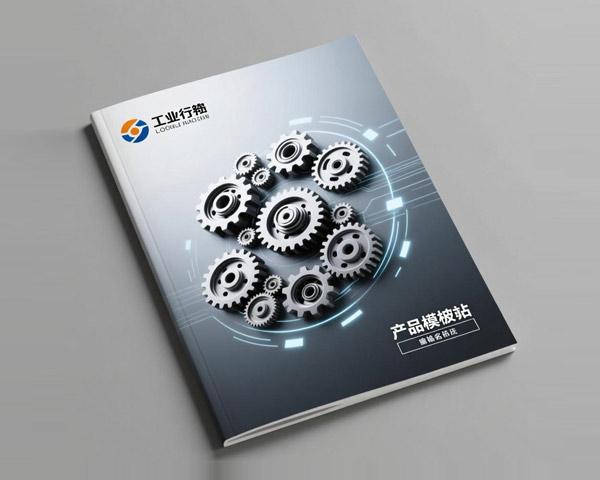 夢(mèng)思時(shí)物流宣傳冊(cè)設(shè)計(jì)制作案例