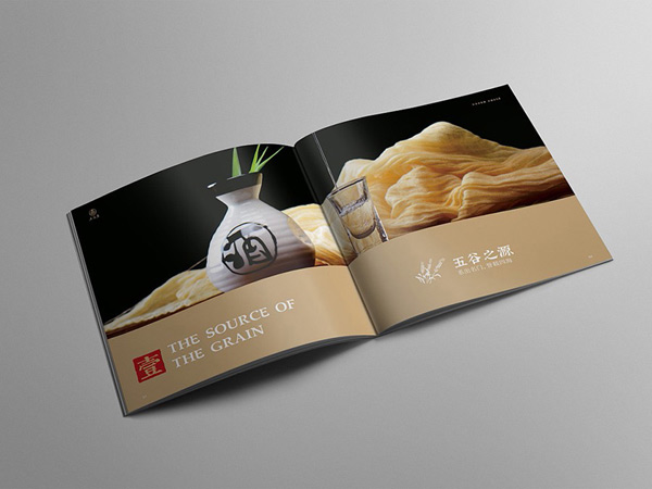 東莞畫(huà)冊(cè)設(shè)計(jì)